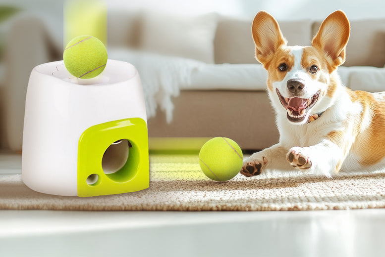 Smart Automatic Ball & Treat Dispenser for Pets – Interactive Pet Toy with Timer & Remote Control
